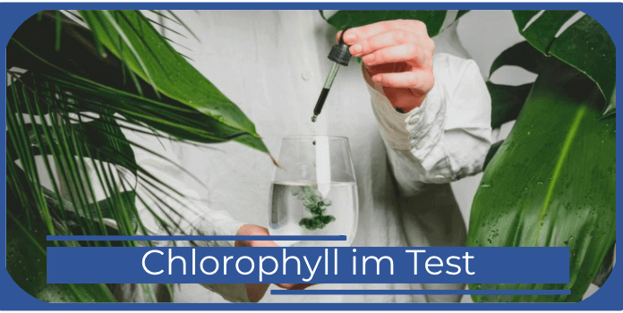 Chlorophyll Titelbild