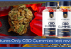 Natures Only CBD Gummies Test Review